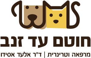 חוטם עד זנב מרפאה וטרינרית