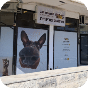 חוטם עד זנב-28